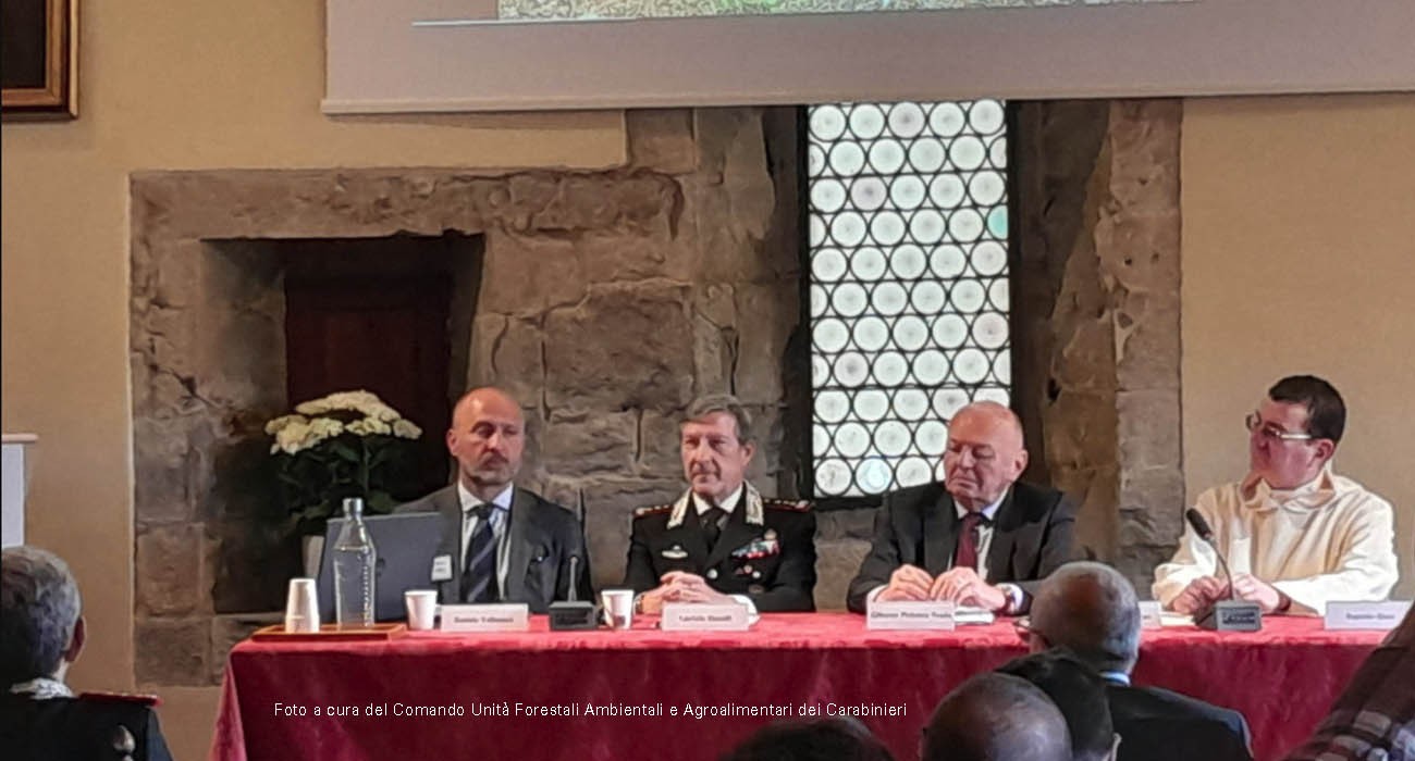 Sasso Fratino: un modello unico di conservazione della biodiversità